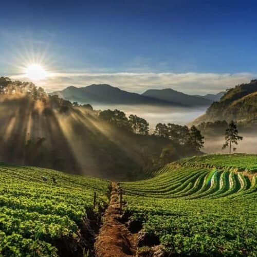 Munnar
